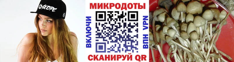 Псилоцибиновые грибы Psilocybine cubensis  Лесной 